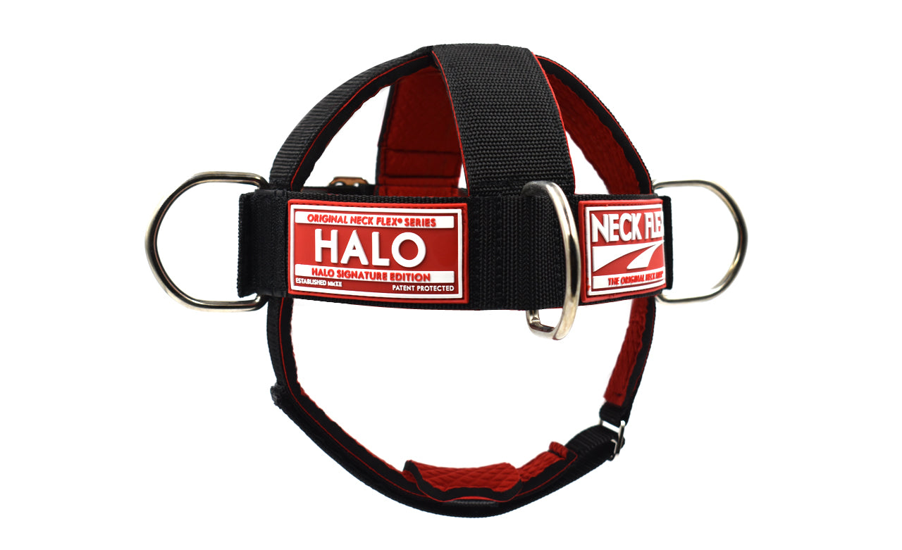 Neck Flex HALO neck harness, front view showing the HALO label and steel D-rings